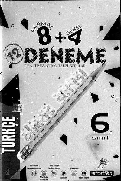 12 DENEME ELMAS SERİSİ TÜRKÇE