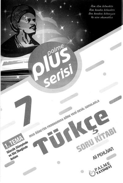 PLUS SERİSİ TÜRKÇE SORU KİTABI ANKA Fotokopi