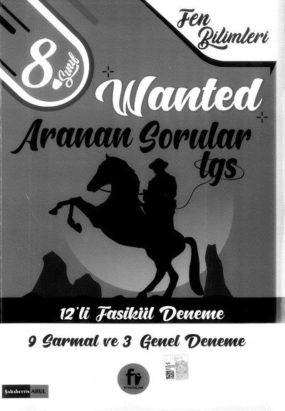 WANTED ARANAN SORULAR LGS 12'Lİ FASİKÜL DENEME ANKA Fotokopi