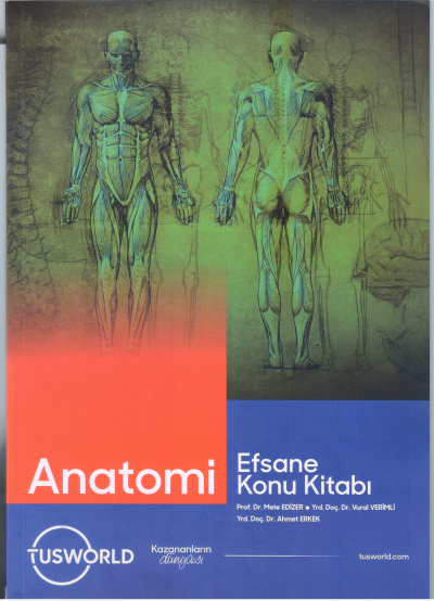 Anatomi Efsane Konu Kitabı Tusworld ANKA Fotokopi