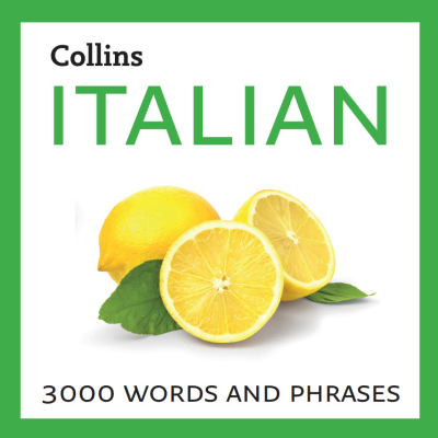 Learn Italian: 3000 essential words and phrases ANKA Fotokopi