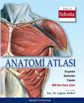 Anatomi Atlası (Sobotta Çizimleri) Palme Yayıncılık ANKA Fotokopi