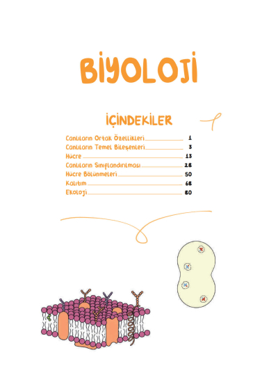 TYT Biyoloji Vip Notlar Vin Kampüs ANKA Fotokopi